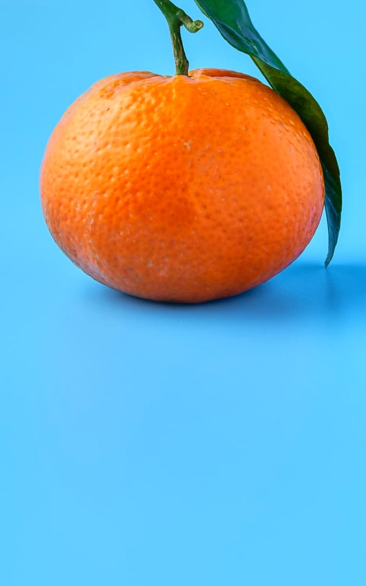 egg image